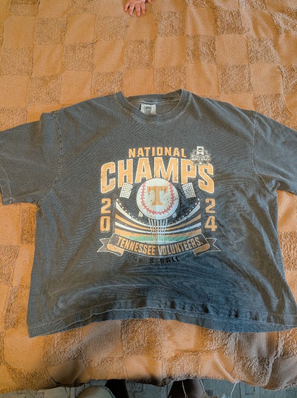 Comfort Colors Crop T-shirt